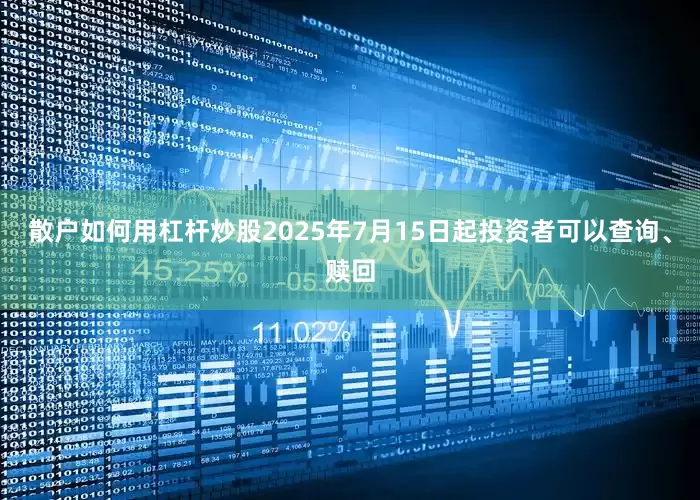 散户如何用杠杆炒股2025年7月15日起投资者可以查询、赎回